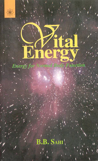 Vital Energy: Energy for Normal Body Function (paperback) - Image 2